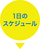 1日のスケジュール